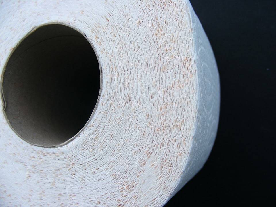 Aménagement de toilettes avec style