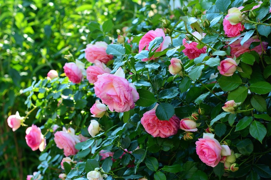 L'art floral japonais pour une touche zen dans votre intérieur