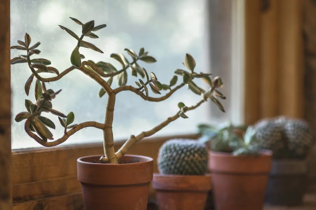 Utiliser des tubes en plastique pour une décoration originale